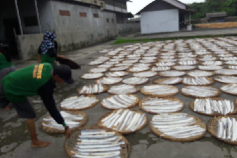 Sejumlah pekerja menjemur kulit ikan yang akan dijadikan kerupuk di sentra industri kerupuk Desa Kenanga, Kecamatan Sindang, Kabupaten Indramayu, Rabu (13/2). Akibat gelombang tinggi di laut, produksi kerupuk ikan dan udang di daerah tersebut menjadi terganggu.