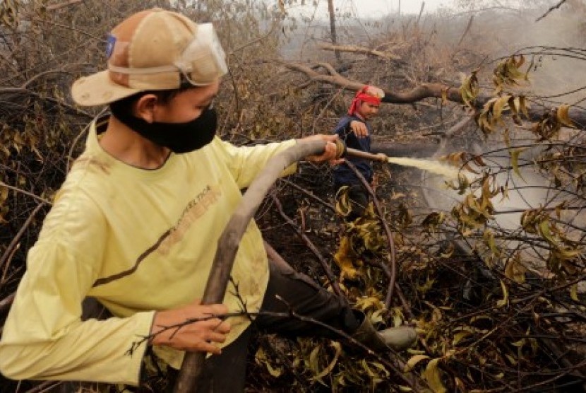 Sejumlah pekerja PT Bumi Andalas Permai berusaha memadamkan api yang membakar lahan gambut milik Perusahaan tersebut di Districk Air Sugihan, Ogan Komering Ilir (OKI), Sumsel. Kemis (15/10).