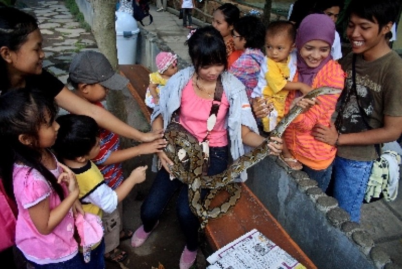  Sejumlah pengunjung berinteraksi dengan ular saat berwisata di Kebun Binatang Gembira Loka, Yogyakarta.