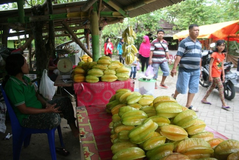 Sejumlah pengunjung berjalan di kebun belimbing di Desa Ngringinrejo, Kalitidu, Bojonegoro, Jawa Timur, Minggu (21/8). 
