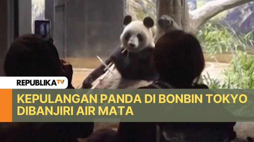 Sejumlah pengunjung Kebun Binatang Ueno di Tokyo tak kuasa menahan air mata ketika melihat 2 ekor panda, Ri Ri & Shin Shin untuk terakhir kalinya, pada Sabtu (28/9).