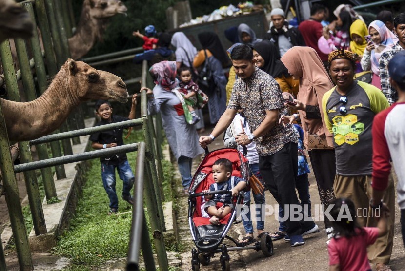 Bandung Zoological Garden alias Kebun Binatang Bandung, Jalan Tamansari, Kota Bandung, Jawa Barat. Akhir pekan ini, bertepatan dengan perayaan Imlek, Kebun Binatang Bandung akan tampilkan atraksi barongsai.