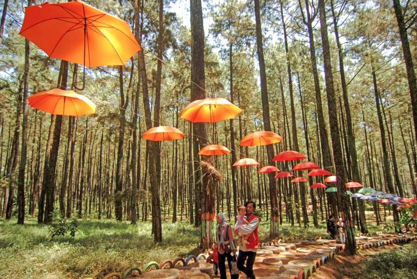 Sejumlah pengunjung menikmati pemandangan alam hutan pinus Praban Lintang di Desa Danasari, Kabupaten Tegal, Jawa Tengah, Sabtu (18/8). 