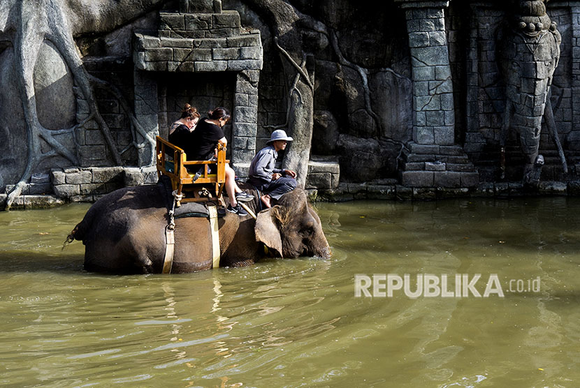 Sejumlah pengunjung menunggang gajah sumatra (Elephas maximus sumatranus) di wahana Kampung Sumatera Bali Zoo, Gianyar, Bali, Senin (25/6). 