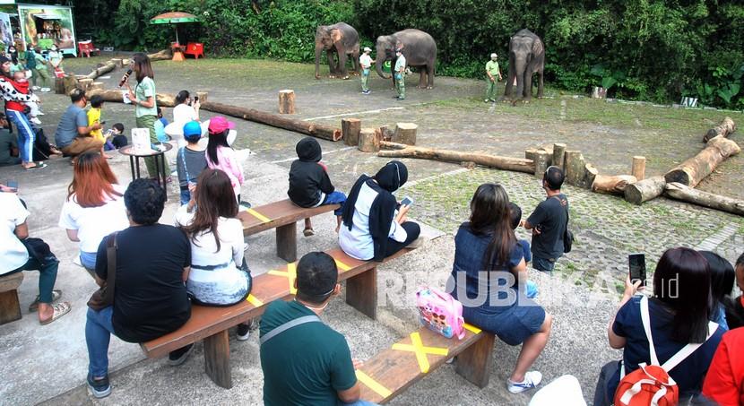 Sejumlah pengunjung menyaksikan edukasi satwa gajah Sumatera di Taman Safari Indonesia (TSI), Cisarua, Kabupaten Bogor, Jawa Barat, Ahad (16/8/2020). Wisata satwa TSI Bogor mulai ramai dikunjungi wisatawan domestik di saat libur panjang akhir pekan.