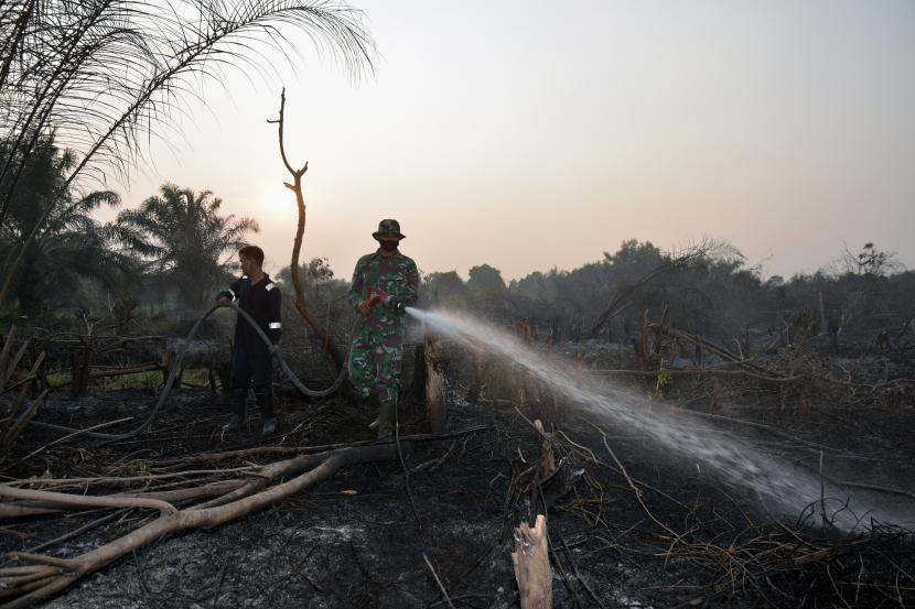 Sejumlah personel Babinsa dan Badan Penanggulangan Bencana Daerah (BPBD) memadamkan kebakaran lahan gambut, (ilustrasi).