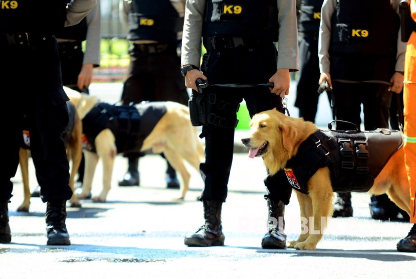 Sejumlah personil kepolisian membawa anjing pelacaknya (Ilustrasi)