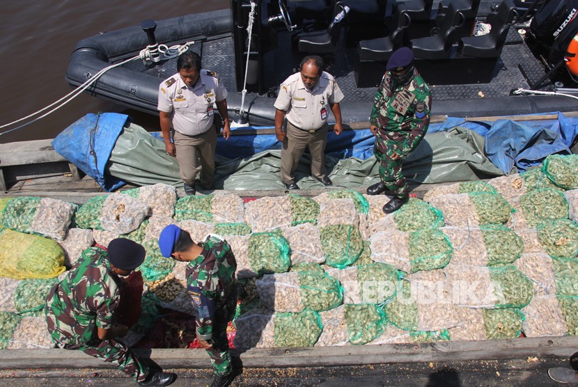 Sejumlah personil TNI AL dan petugas karantina memeriksa karung jaring (kampit) berisi jahe selundupan dari Malaysia di pelabuhan Lanal Dumai di Dumai, Riau, Rabu (6/2/2019). 