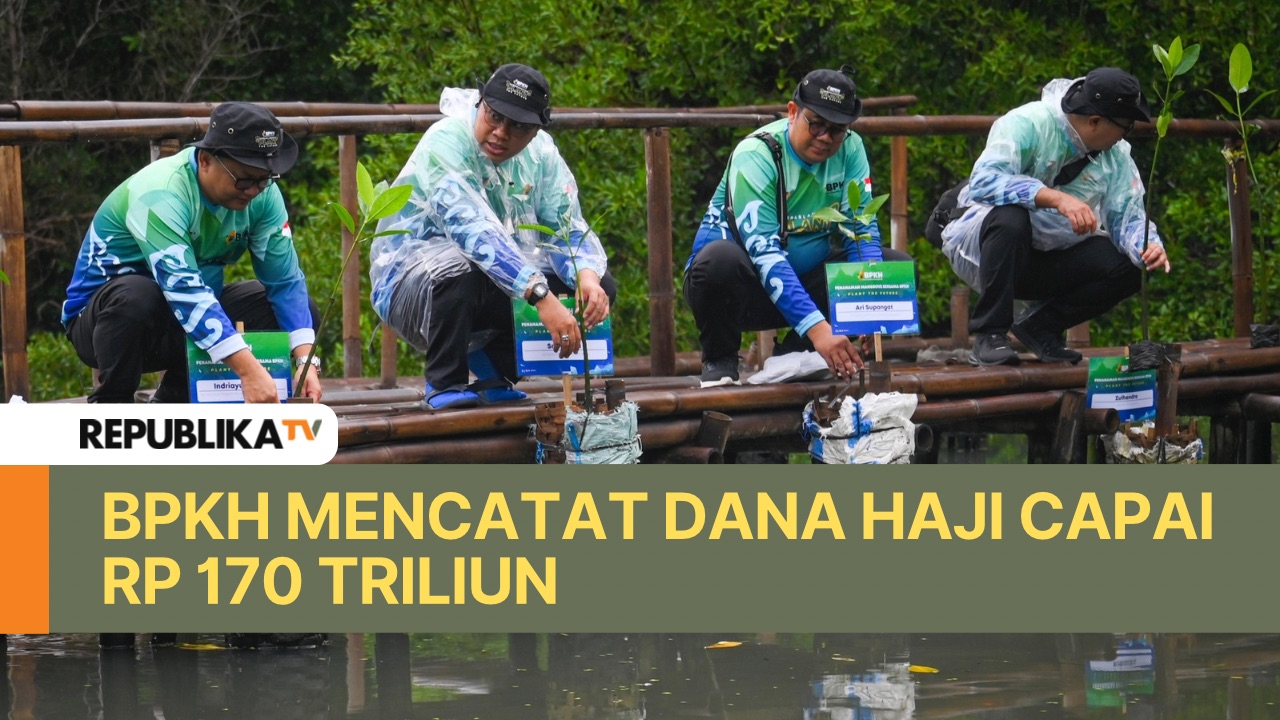 Sejumlah peserta menanam pohon mangrove dalam kegiatan bersama Badan Pengelola Keuangan Haji (BPKH) di Taman Wisata Alam Mangrove Angke Kapuk, Jakarta, Sabtu (7/12/2024).