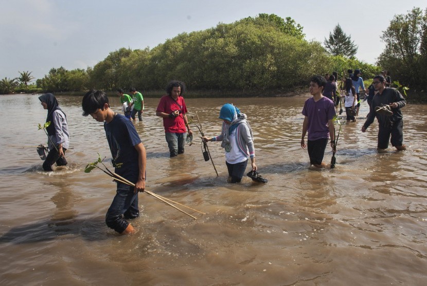 Sejumlah peserta menyebrangi rawa dengan membawa bibit mangrove untuk ditanam dalam acara Mangrovakansi di Laguna Pantai Baros, Kretek, Bantul, Yogyakarta.