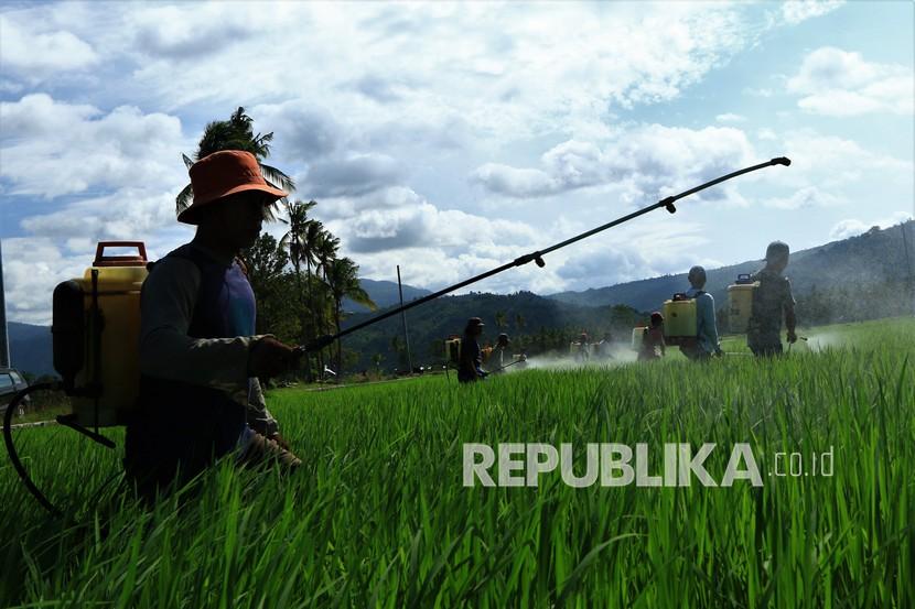 Sejumlah petani melakukan penyemprotan massal hama penggerek batang di Kecamatan Samaturu, Kolaka, Sulawesi Tenggara, Senin (15/2).  Badan Pusat Statistik (BPS) menyatakan, terdapat penurunan Nilai Tukar Petani (NTP) pada Februari 2021 sebesar 0,15 persen menjadi 103,10. 