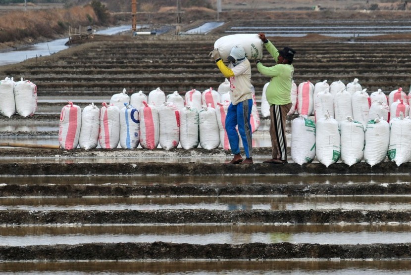 Sejumlah petani mengangkat karung berisi garam saat panen raya di Desa Kaliwlingi, Brebes, Jawa Tengah, Selasa (10/11).