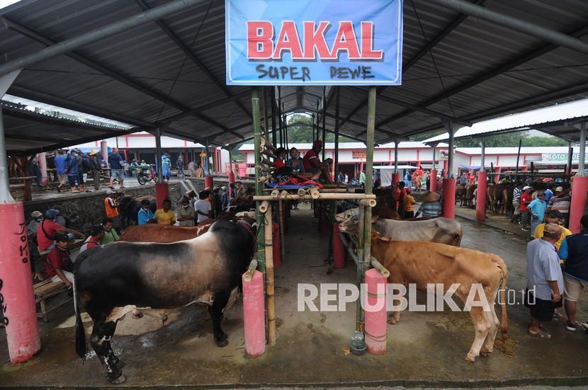 Sejumlah peternak menjual sapi di Pasar Hewan Jelok, Cepogo, Boyolali, Jawa Tengah. Pemkab Boyolali uji coba buka Pasar Hewan Jelok Cepogo setelah ditutup karena PMK.