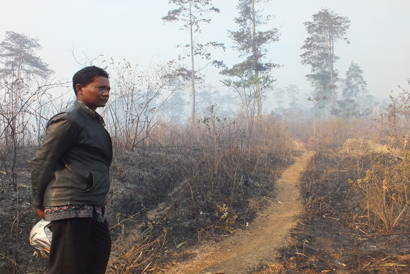 Sejumlah petugas berusaha memadamkan api pada Kebakaran hutan di Gunung kareumbi, Kabupaten Sumedang, Kamis (29/10). 