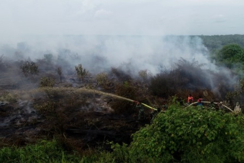 Sejumlah petugas berusaha memadamkan api yang membakar lahan gambut