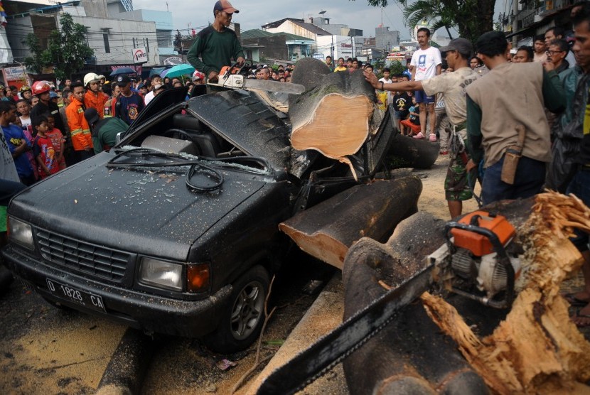 Sejumlah petugas berusaha memotong batang pohon yang tumbang menimpa kendaraan setelah hujan deras dan angin kencang di kawasan Pasir Koja, Bandung, Jawa Barat, Rabu (9/12).