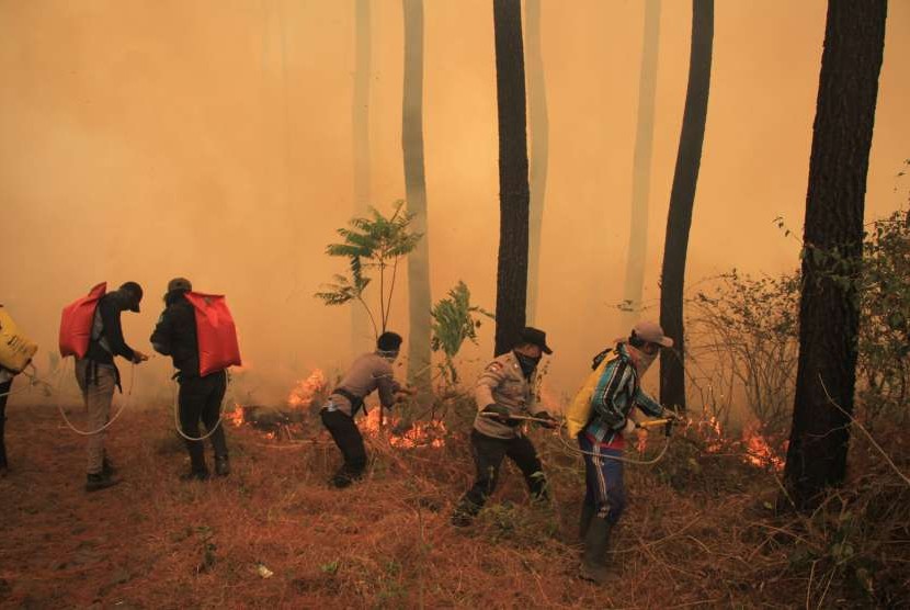 Sejumlah petugas gabungan berusaha memadamkan api yang membakar kawasan hutan di lereng Gunung Ciremai, Kuningan, Jawa Barat, Rabu (3/10). 