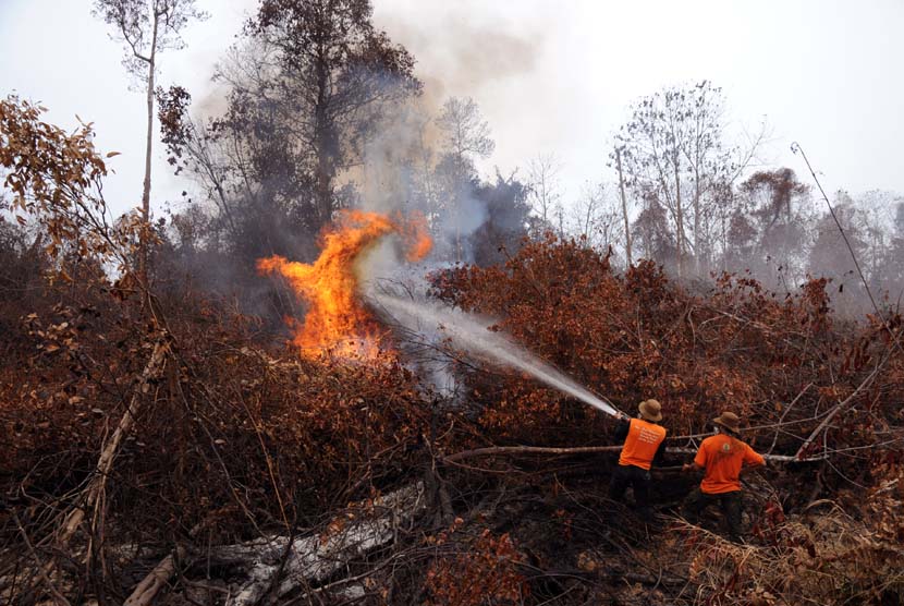Sejumlah petugas Manggala Agni Kemenhut memadamkan kebakaran di Kabupaten Bengkalis, Riau, Selasa (4/3). (Antara/FB Anggoro)