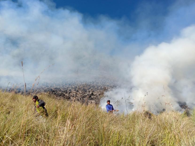 Sejumlah petugas melakukan pemadaman api akibat kebakaran di kawasan Gunung Bromo, Rabu (30/8/2023). 