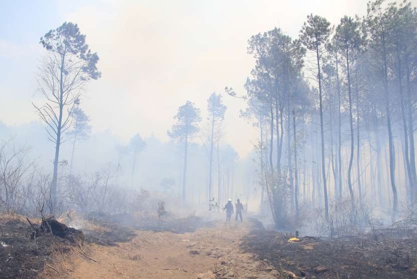 Sejumlah relawan dari Masyarakat Peduli Api (MPA) melakukan penyekatan untuk mencegah kebakaran meluas di kawasan lereng Gunung Ciremai, Kuningan, Jawa Barat, Kamis (4/10). 
