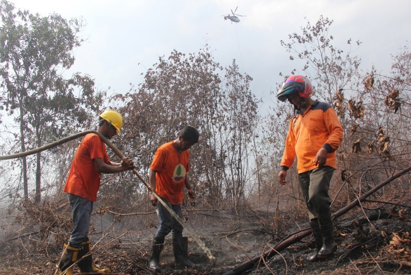 Sejumlah relawan Masyarakat Peduli Api (MPA) melakukan proses pendinginan pada lahan gambut yang terbakar di kawasan hutan lindung kelurahan Mundam kota Dumai, Dumai, Riau, Kamis (19/7).