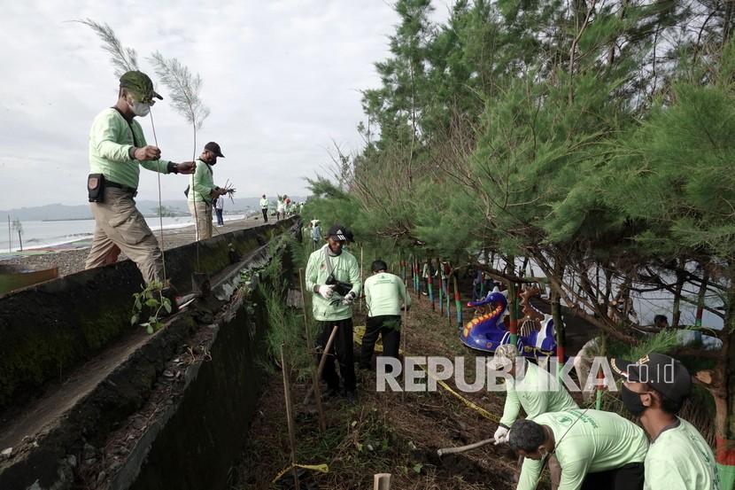 Sejumlah relawan menanam pohon cemara laut di Pantai Tegal Kamulyan Cilacap Selatan, Jateng, Jumat (21/1/2022). 