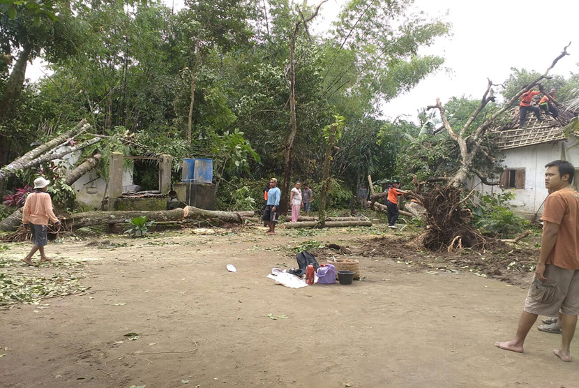 Sejumlah rumah warga rusak tertimpa pohon akibat angin puting beliung, Jumat (6/1). 