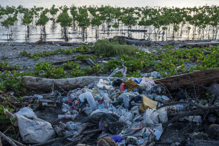 Sejumlah sampah plastik dikumpulkan relawan di sekitar tanaman bakau (ilustrasi)