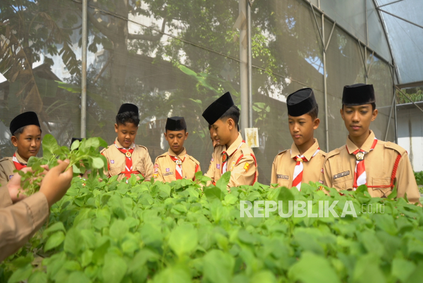 Sejumlah santri beraktivitas di greenhouse hidroponik Pondok Pesantren Amanah Cendekia Depok