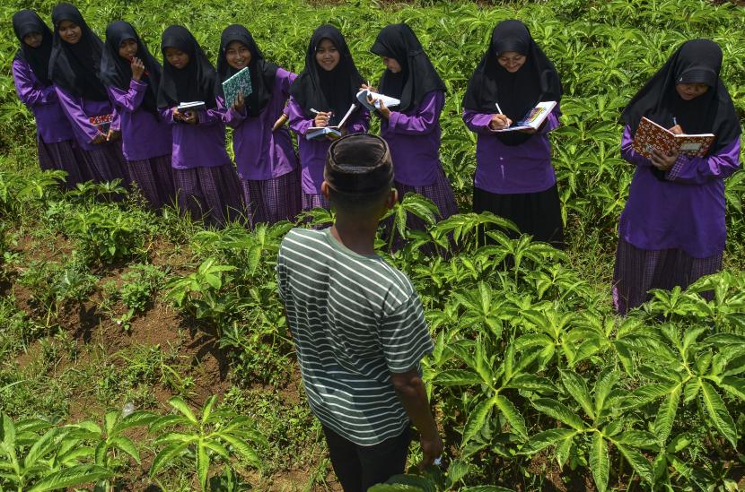 Sejumlah santri mengikuti kegiatan belajar mengajar tanaman porang di Pondok Pesantren, (ilustrasi). Ekonomi syariah dapat mendukung upaya pengendalian harga pangan, misal dengan mengoptimalkan peran pesantren terlibat dalam peningkatan produksi sektor pertanian.
