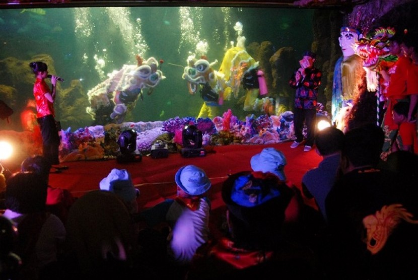 Sejumlah seniman beratraksi barongsay dan liong di dalam akuarium Wahana Sea World, Ancol, Jakarta Utara, Senin (23/1).