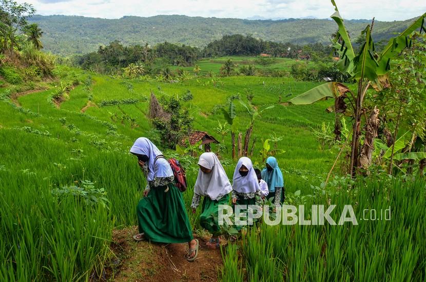 Sejumlah siswa berjalan kaki melintasi pematang sawah saat pulang ke rumah di Dusun Ciakar, Kabupaten Ciamis, Jawa Barat. (ilustrasi)