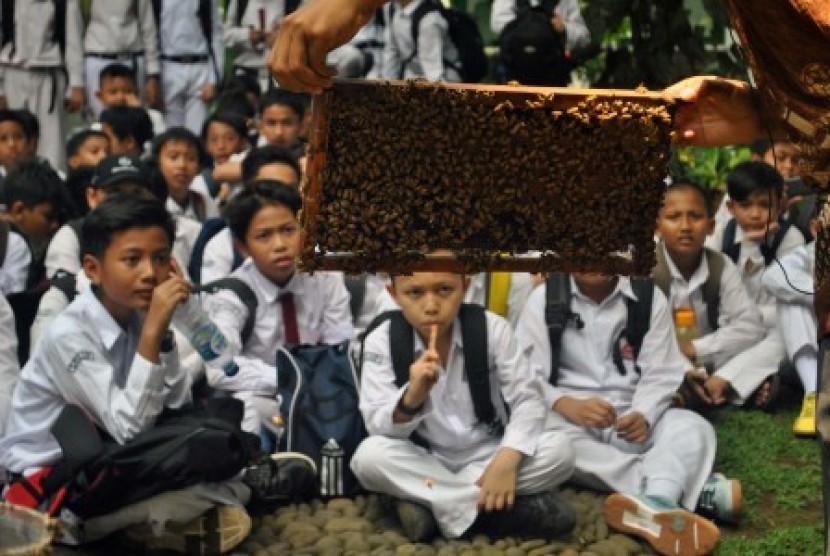 Sejumlah siswa SD Insan Kamil Bogor mengamati lebah madu (Apis cerana indica) dalam proses pembuatan madu di Kebun Raya Bogor, Jawa Barat, Jumat (23/10). 