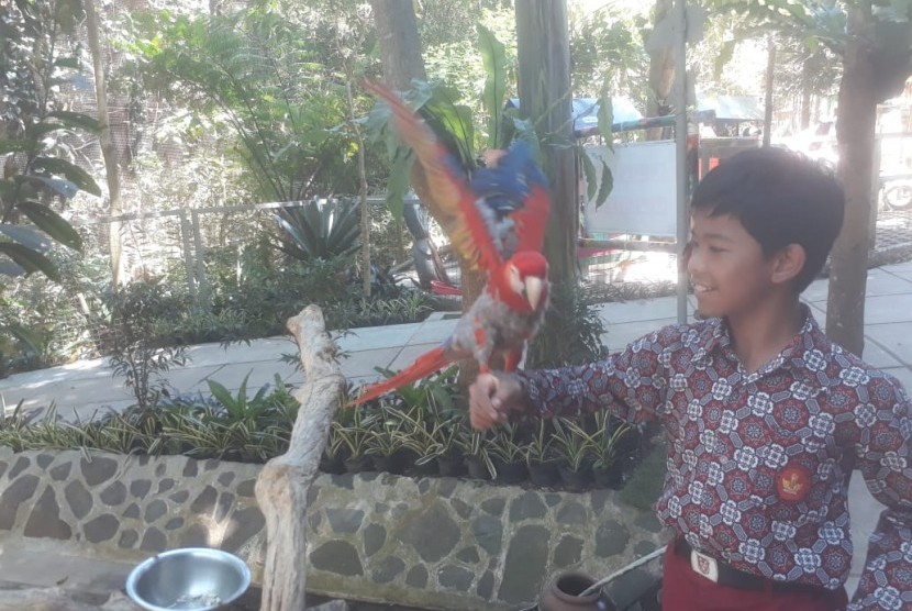 Sejumlah siswa SDN Citrasari Lembang tengah melihat berbagai jenis burung di Taman Burung Pramestha di Dago Giri. 