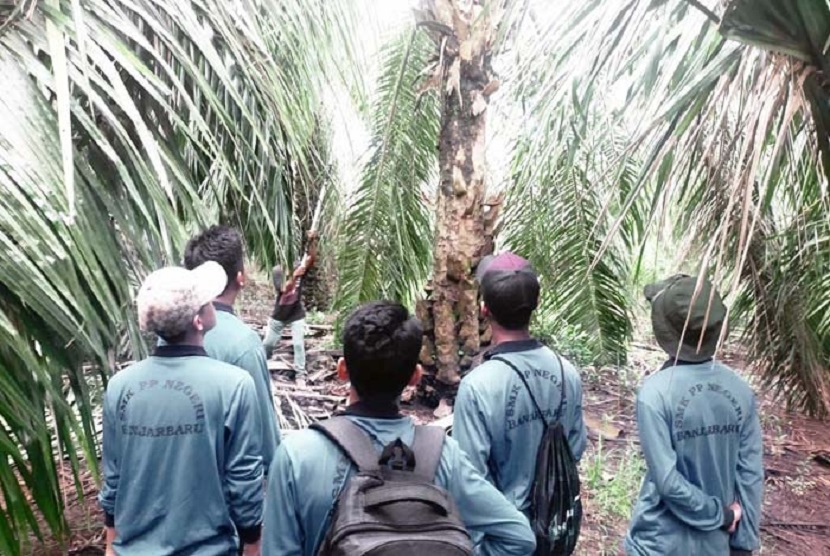Sejumlah siswa SMKPPN Banjarbaru yang magang PKL di perusahaan kelapa sawit mengamati cara penanganan tanaman hingga pemeliharaan dan kegiatan panen di Kalsel.