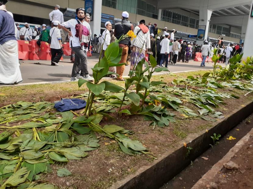 Sejumlah tanaman di terminal Bandara Soekarno-Hatta rusak saat massa menjemput Habib Rizieq Shihab, Selasa (10/11).