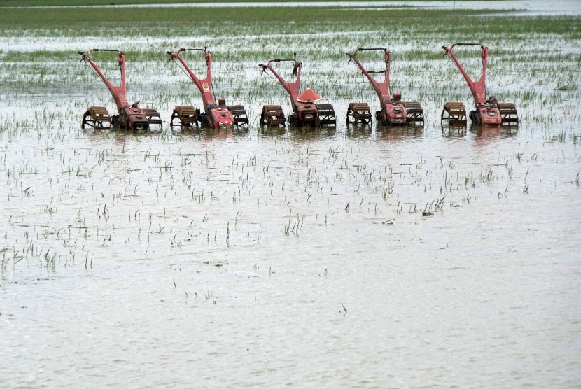 Sejumlah traktor tidak bisa difungsikan akibat terendam air yang menggenangi lahan persawahan, di wilayah Maos, Cilacap, Jateng, Sabtu (7/10). 