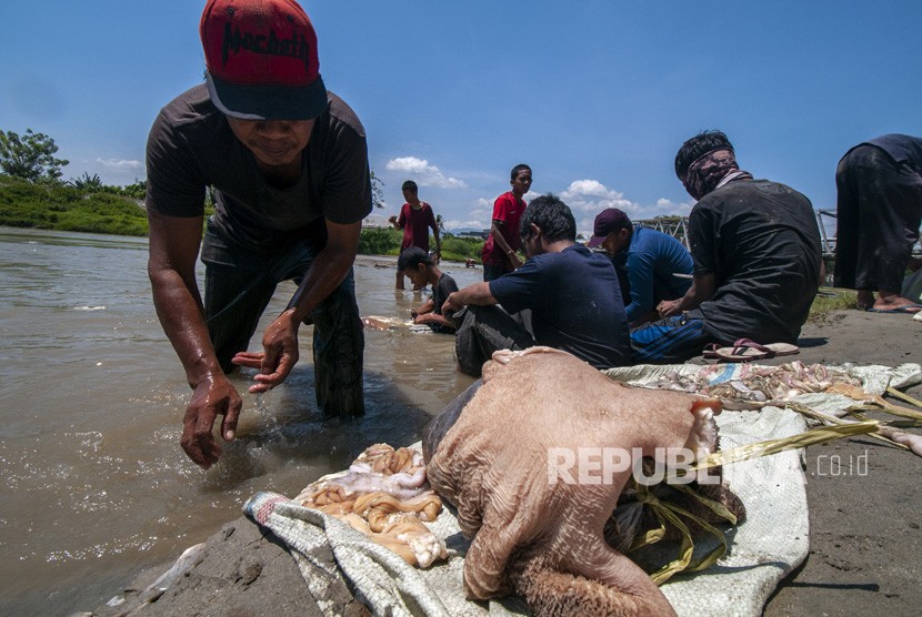 Sejumlah warga beramai-ramai membersihkan jeroan daging hewan kurban di sungai. Hal speperti ini sebaiknya tidak dilakukan lagi untuk menghindari merebaknya penyakit PMK. (ilustrasi)