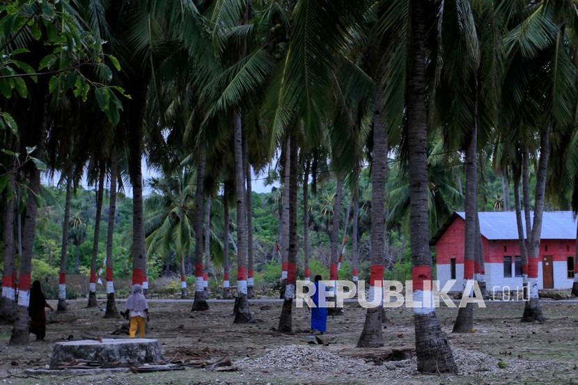 Sejumlah warga berjalan di antara pohon kelapa yang batangnya dicat merah putih di Kampung Merah Putih di Desa Oeseli, Kabupaten Rote Ndao, NTT, Jumat (19/11/2021). Kantor Wilayah Direktorat Jenderal Perbendaharaan (DJPb) Provinsi Nusa Tenggara Timur Kementerian Keuangan mencatat penyaluran anggaran Dana Desa 2022 di Kabupaten Rote Ndao merupakan yang tertinggi di Nusa Tenggara Timur yaitu sebesar 53,3 persen.