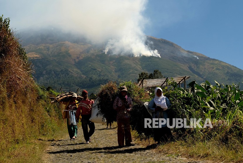 Sejumlah warga berjalan di areal perladangan berlatar belakang kebakaran hutan gunung Sumbing di Desa Adipura, Kaliangkrik, Magelang, Jawa Tengah, Rabu (14/8/2019). 