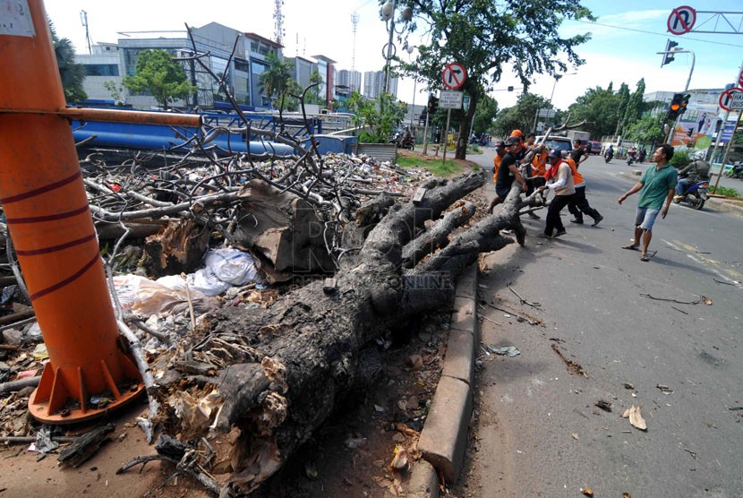   Sejumlah warga bersama petugas kebersihan berupaya menyingkirkan pohon ambruk dari jalanan di kawasan Sunter, Jakarta, Selasa (8/4). ( Republika/ Wihdan)