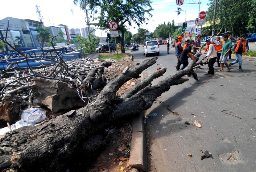   Sejumlah warga bersama petugas kebersihan berupaya menyingkirkan pohon ambruk dari jalanan di kawasan Sunter, Jakarta, Selasa (8/4). ( Republika/ Wihdan)