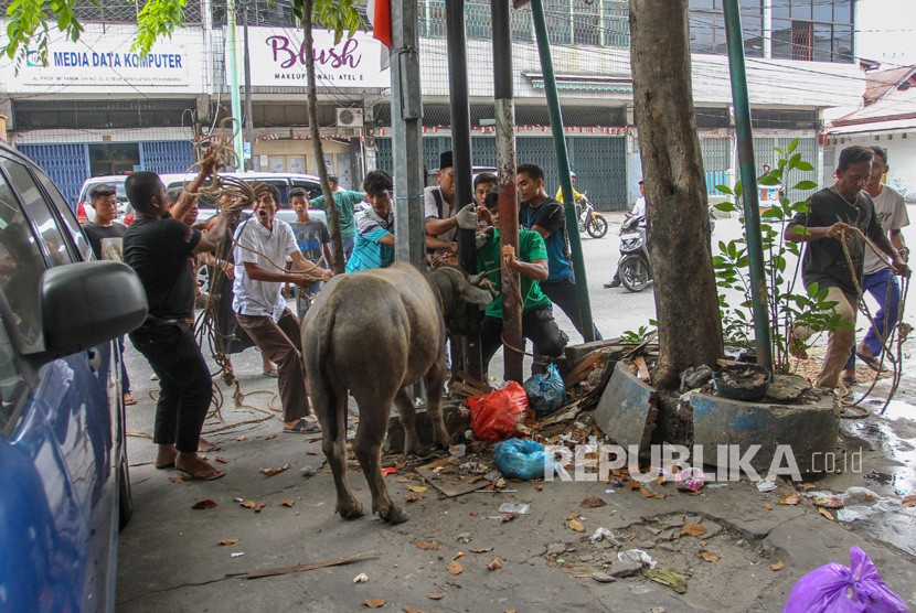 Jelang Idul Adul, Pemerintah Provinsi (Pemprov) Riau melalui Dinas Peternakan dan Kesehatan Hewan (PKH) Riau akan memperketat pemeriksaan lalu lintas hewan ternak dari luar Provinsi Riau.