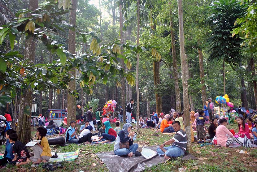 Sejumlah warga memadati hutan penelitian Cifor saat tradisi Cucurak, di kota Bogor, Jabar, Ahad (14/6/2015). Hutan Cifor akan dijadikan Kebun Raya II untuk menarik wisatawan ke Bogor, Jawa Barat.