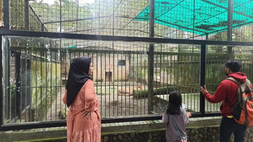 Sejumlah wisatawan melihat satwa di Taman Satwa Cikembulan, Kabupaten Garut, Ahad (1/1/2023). 