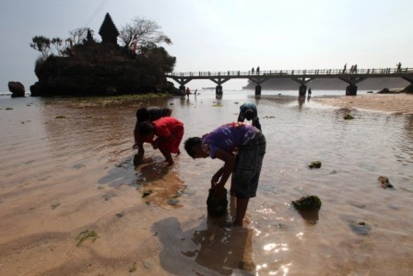 Sejumlah wisatawan bermain air di kawasan Pantai Balekambang, Kabupaten Malang, Jawa Timur, Kamis (15/10).