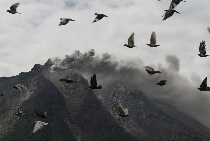  Sekelompok burung terbang melintas saat gunung Sinabung meletus di Desa Simpang Empat, Karo, Sumut, Ahad (15/9).
