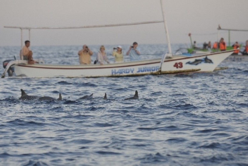 Sekelompok wisatawan memotret lumba-lumba di perarian Pantai Lovina, Singaraja, Bali, Jumat (3/5). Fenomena munculnya lumba-lumba di perairan Bali utara itu dimanfaatkan nelayan setempat untuk mengembangkan bisnis wisata memantau mamalia laut tersebut deng