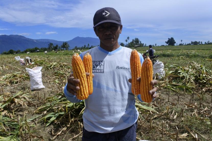 Sekitar 9.640 rumah tangga (KK) petani di Nusa Tenggara Timur, Sulawesi Tengah, dan Maluku Utara, berhasil meningkatkan pendapatan bersih menjadi sekitar Rp 7.000.542 per musim panen.