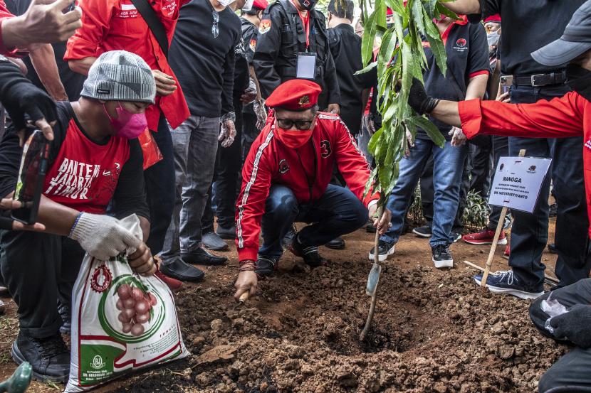 Sekjen Partai Demokrasi Indonesia Perjuangan (PDIP) Hasto Kristiyanto (kanan) menanam pohon pada acara bersih-bersih lingkungan, penanaman dan pemelihara tanaman di Cakung, Jakarta, Ahad (9/1/2022). Kegiatan yang digelar di 15 titik Daerah Aliran Sungai (DAS) Ciliwung tersebut dalam rangka menyambut HUT PDIP yang ke-49 pada Senin (10/1/2022).